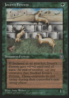 Joven's Ferrets